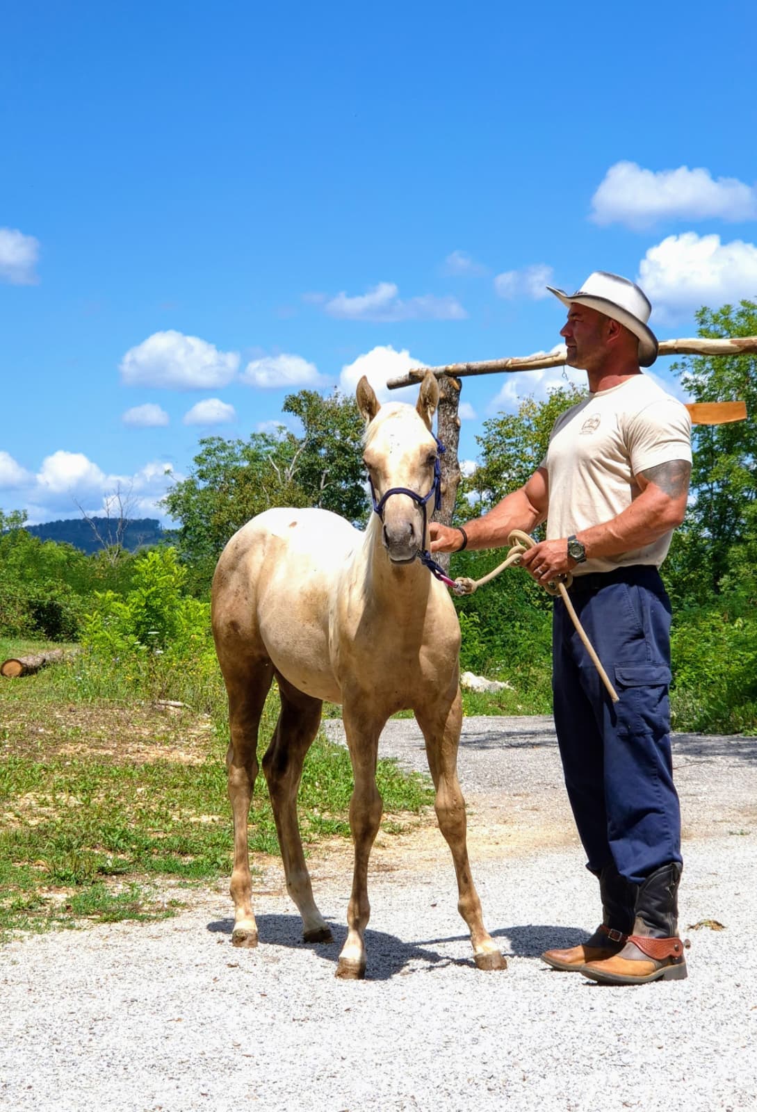 Play With Classic Stylish