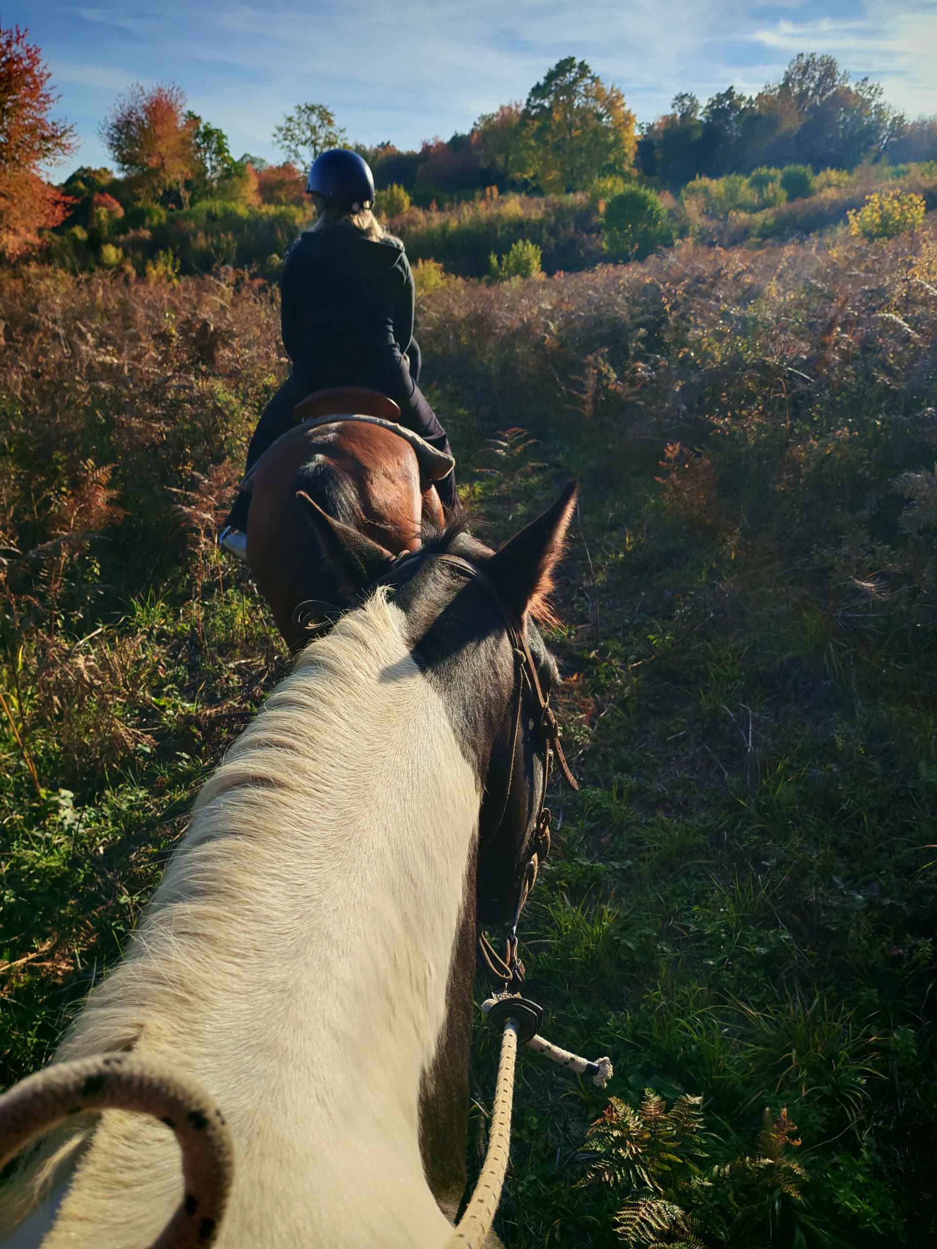Konjima do Doline Jelena