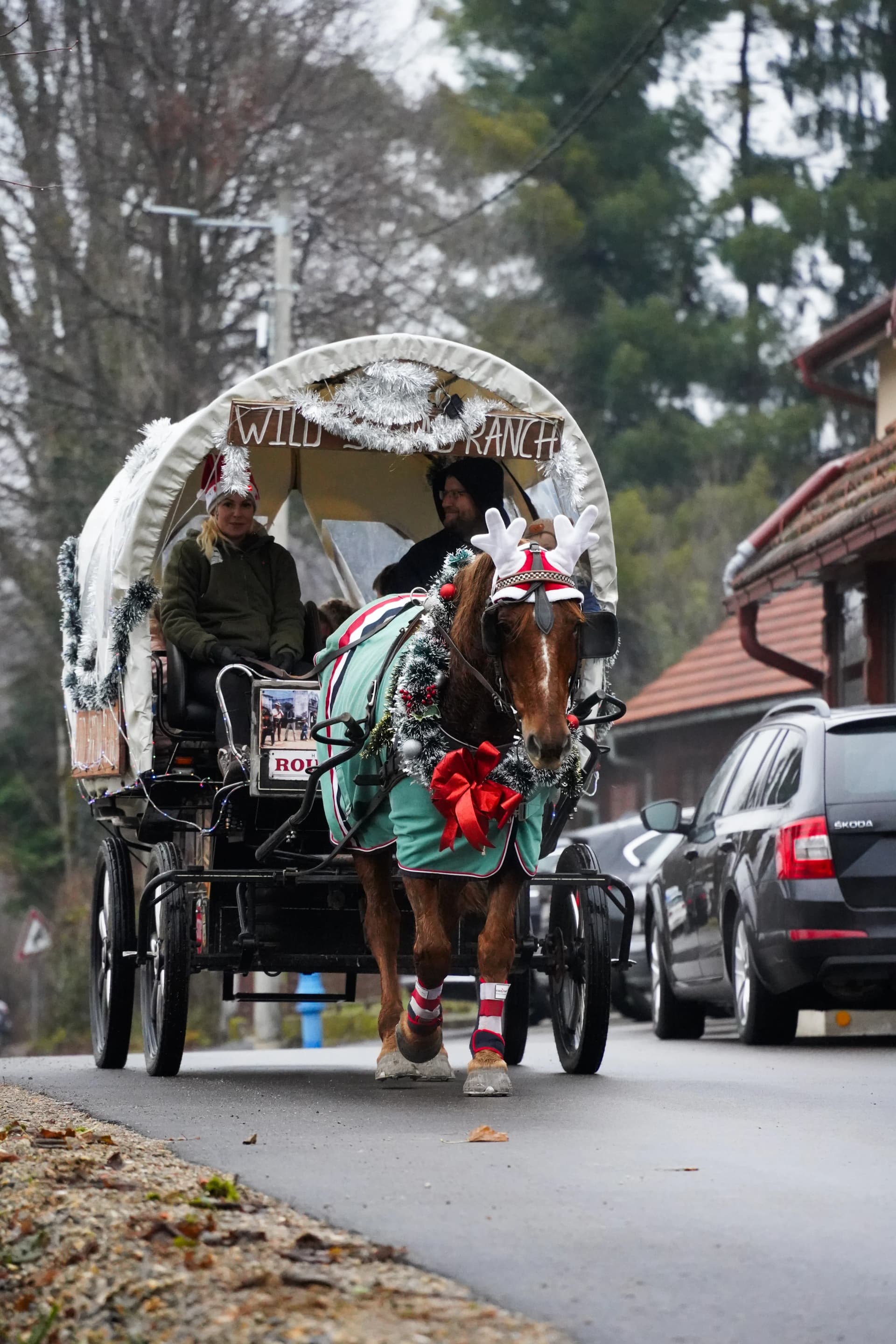 Beste Rute za Jahanje oko Plitvica