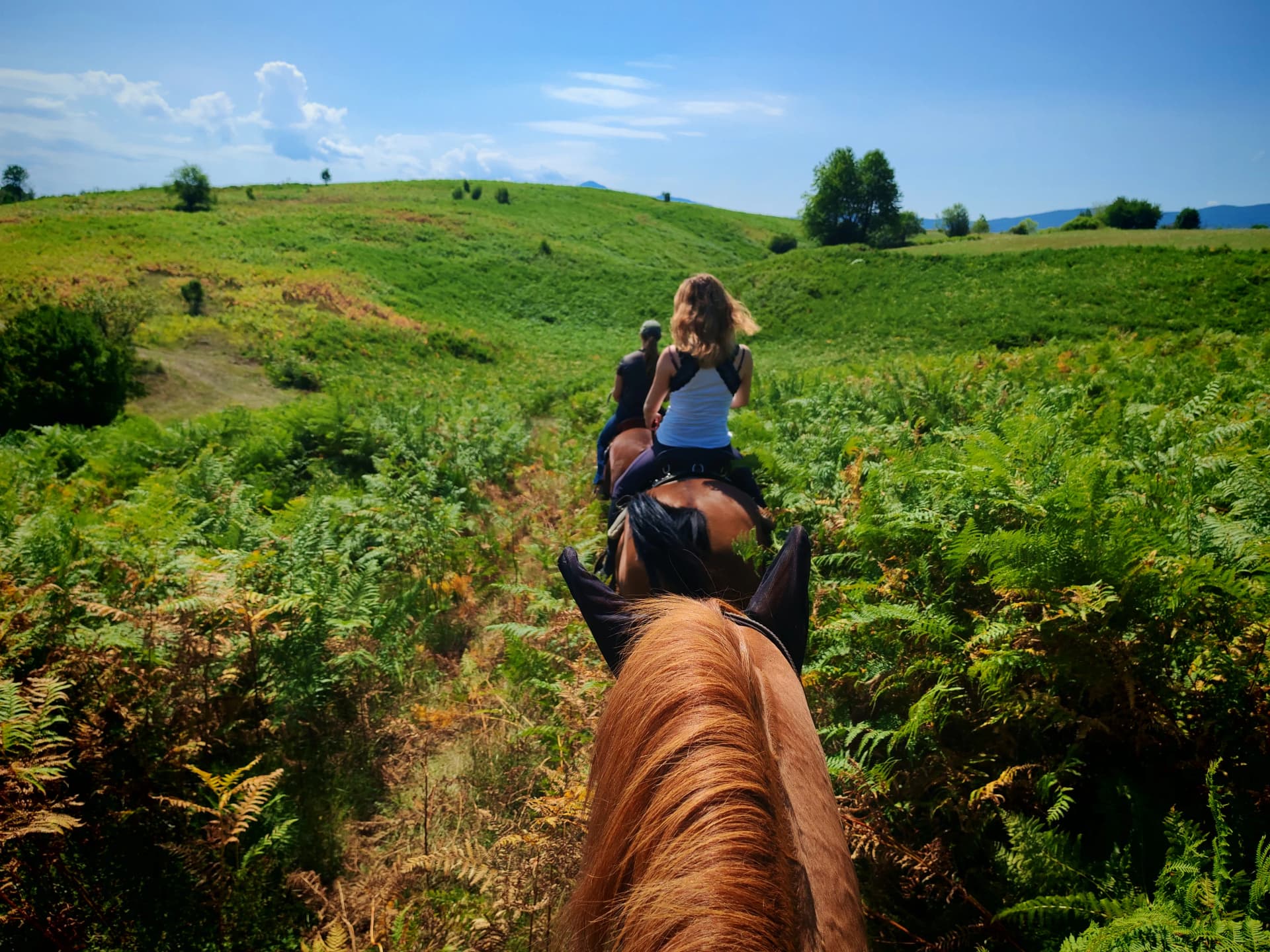 Ljetni dan na ranču