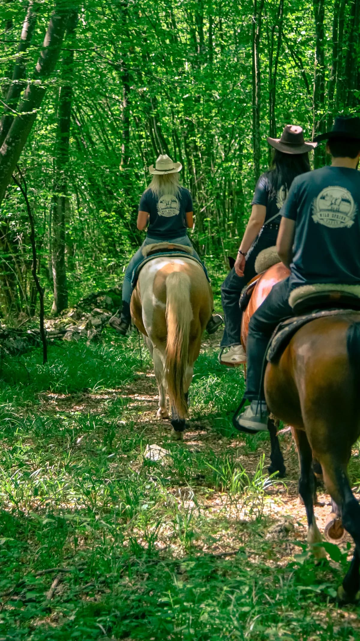 Wild Spring Ranch — Baraćeve špilje 1