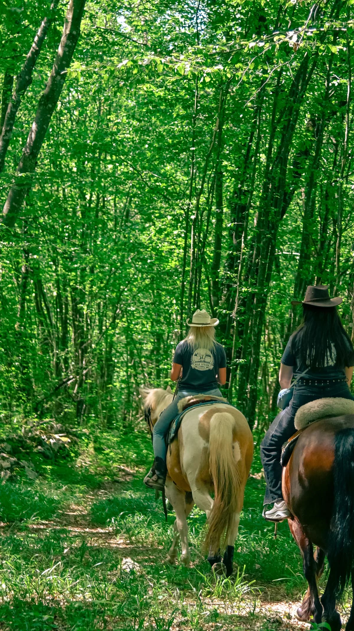 Wild Spring Ranch — Baraćeve špilje 2
