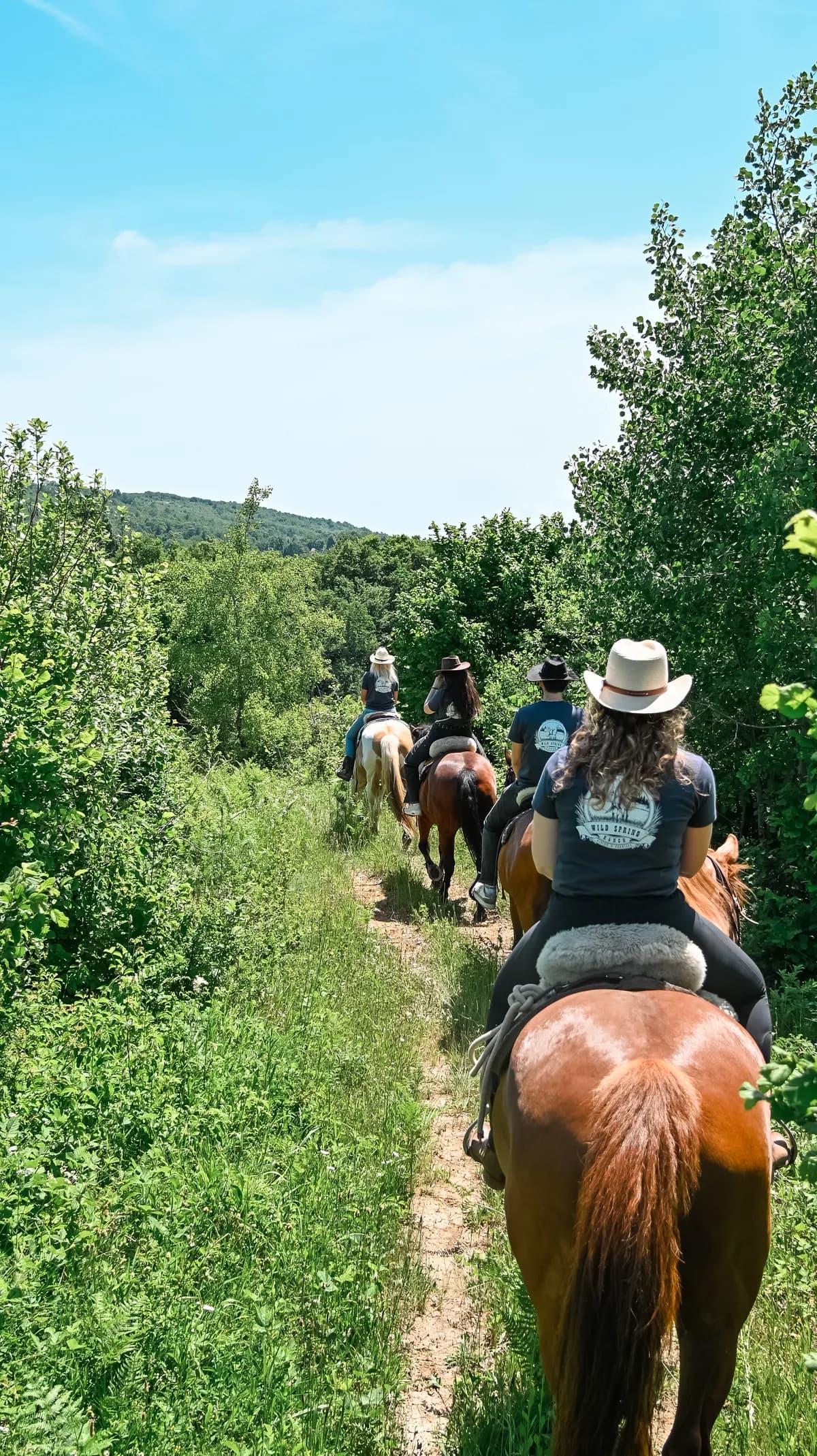 Wild Spring Ranch — Baraćeve špilje 4