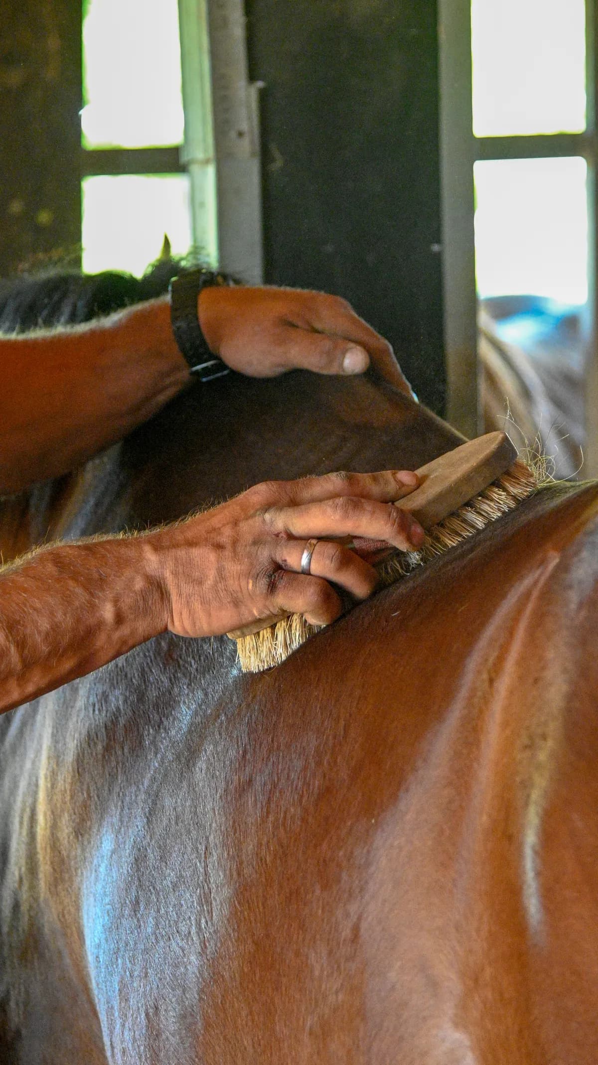 Wild Spring Ranch — Baraćeve špilje 10