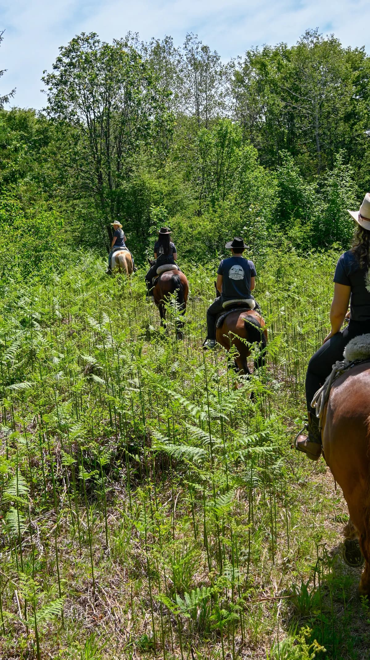 Wild Spring Ranch — Baraćeve špilje 11