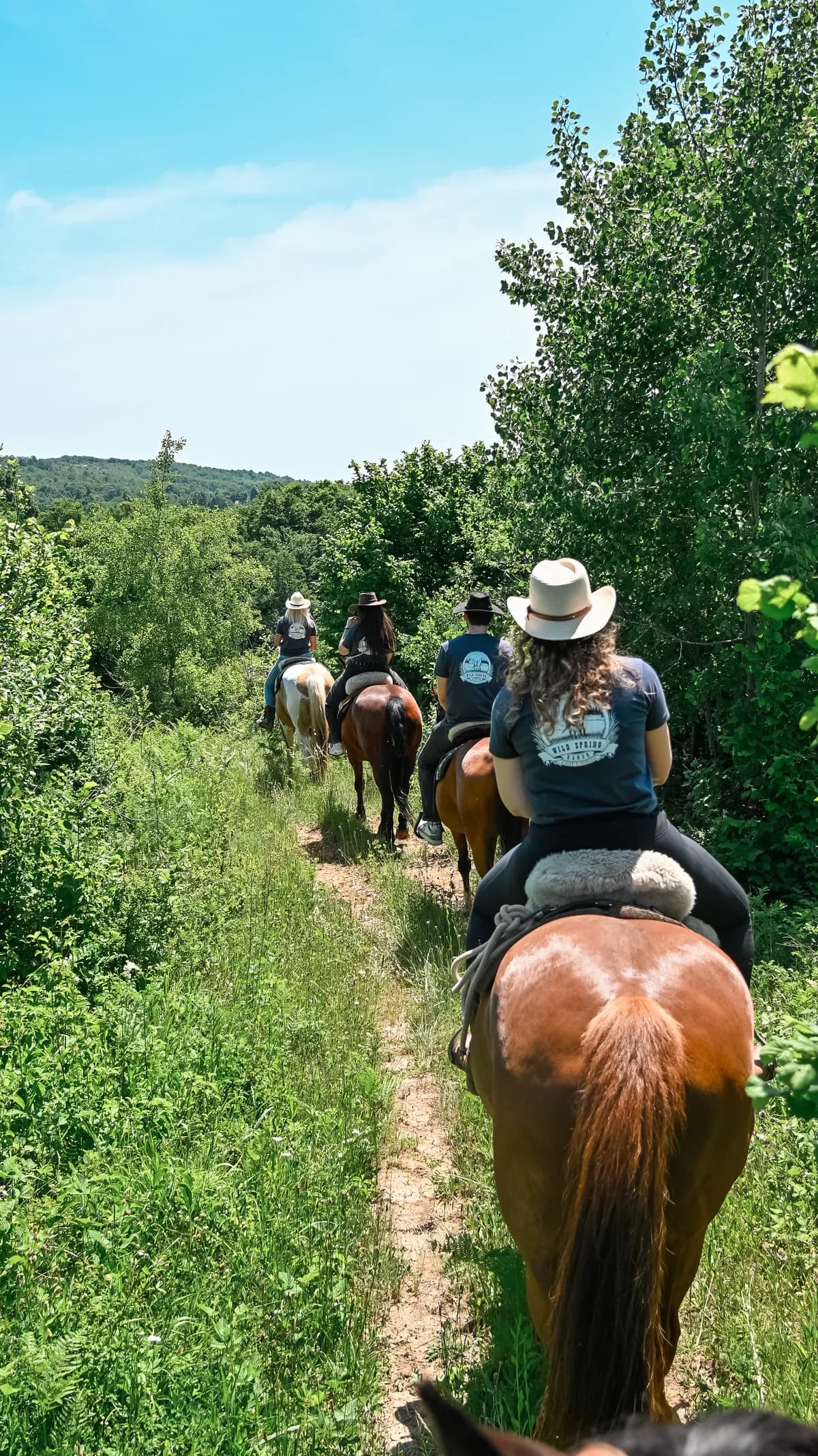 Wild Spring Ranch — Baraćeve špilje 12